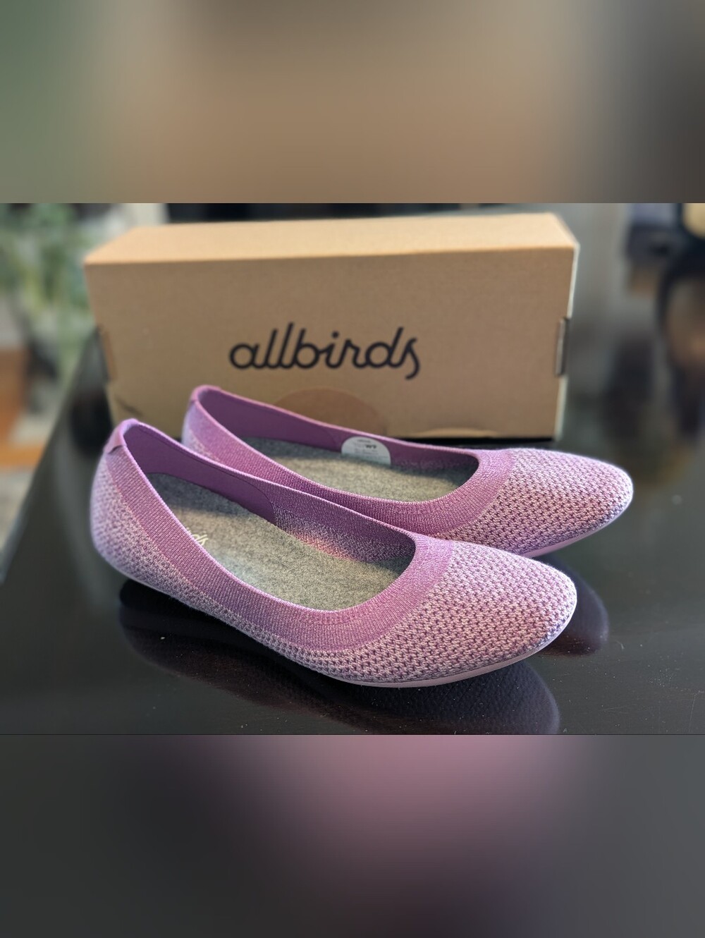 Allbirds Tree Breezers Flats Women's Size 9 Gray Slip On Ballet Knit Shoes NWB